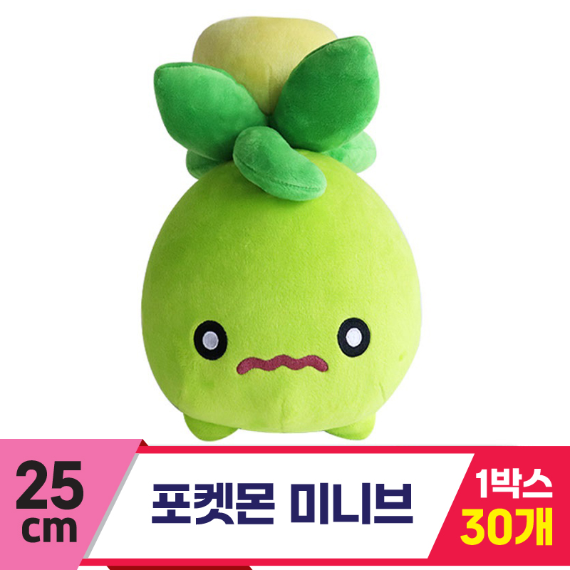 [3RD]25cm 포켓몬 미니브