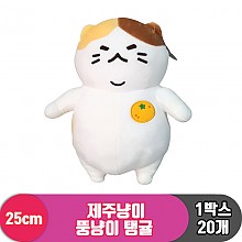 [SY]25cm 제주냥이 뚱냥이 탱귤<20>