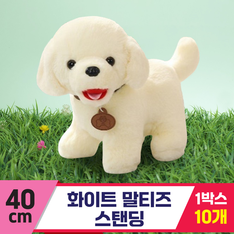 [DA]40cm 화이트 말티즈 스탠딩