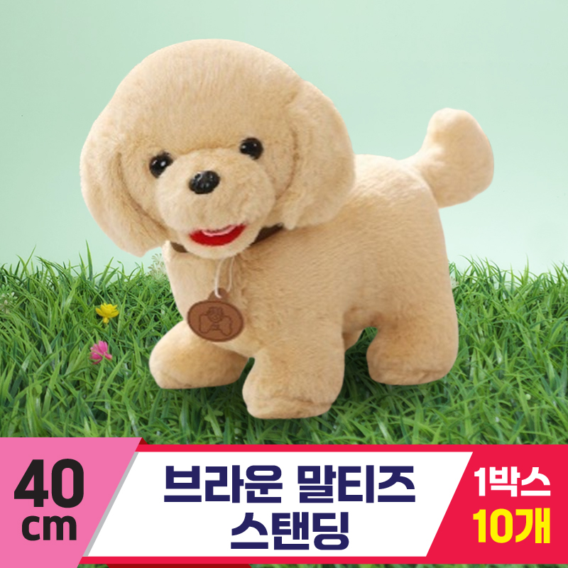 [DA]40cm 브라운 말티즈 스탠딩