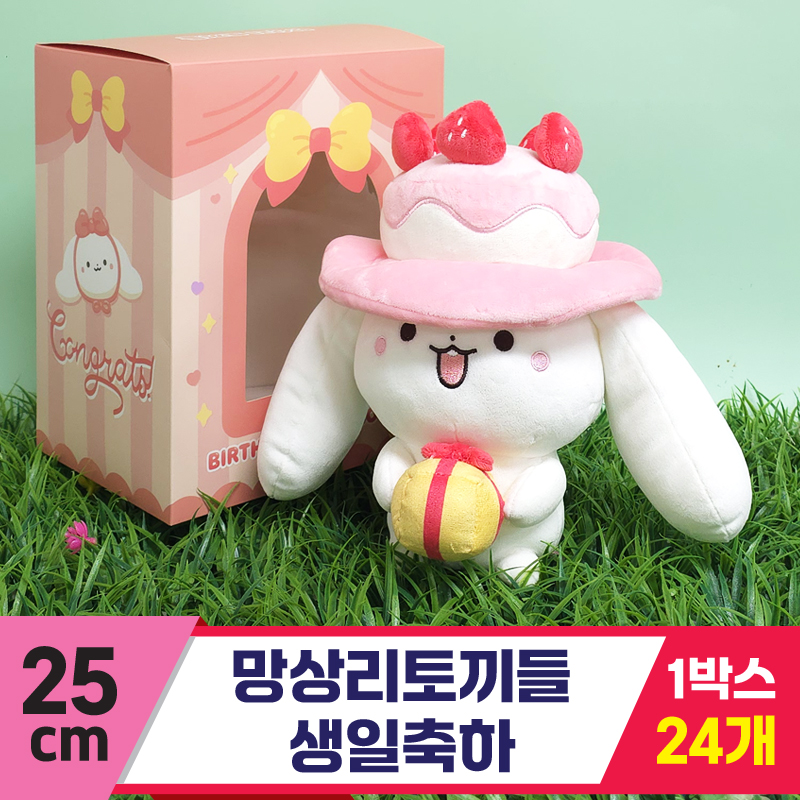 [FL]25cm 망상리토끼들 생일축하