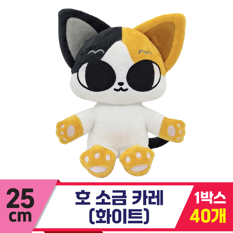 [DT]25cm 호 소금 카레(화이트)<40>