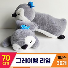 [GG]70cm 그레이펭 라잉