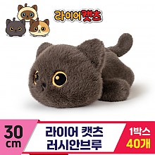 [GG]30cm 라이어캣츠 러시안브루