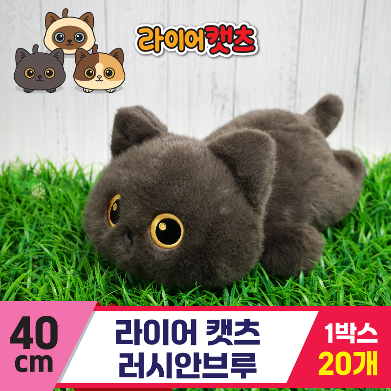 [GG]40cm 라이어캣츠 러시안브루