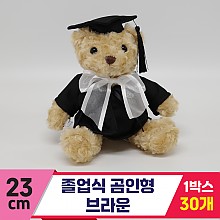 [BC]23cm 졸업식 곰인형 브라운