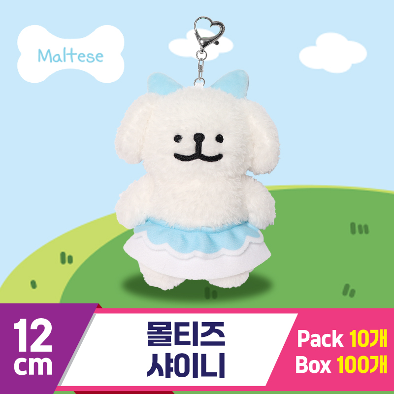 [DT]12cm 몰티즈 샤이니