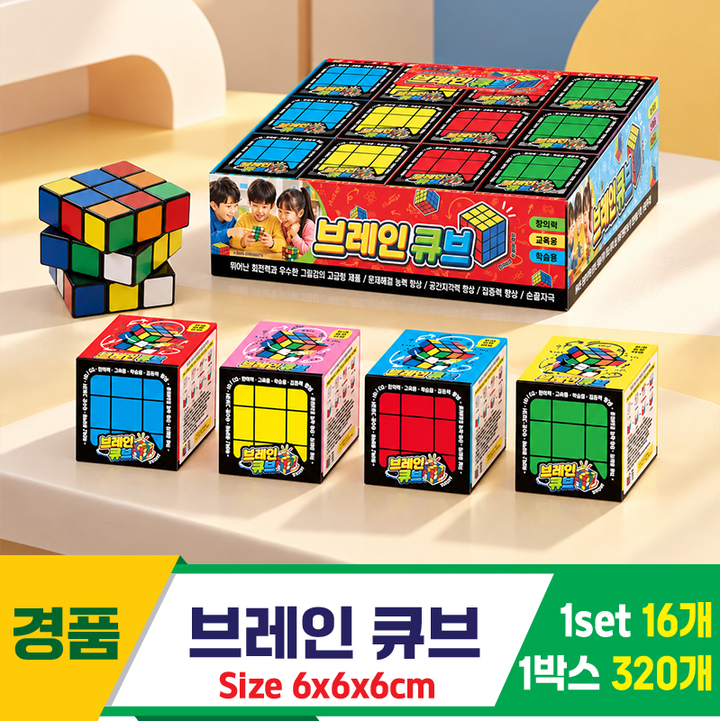 [GF]브레인 큐브
